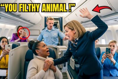 “Get Out of First Class!” Attendant Slapped Black Woman — Then Froze When She Said “I Own the Plane”