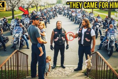 Single Dad Helped a Biker and Lost His Job… But What Happened Next Shocked Everyone