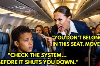 Flight Attendant Slaps Boy to Give Up Seat for Passenger — 5 Minutes Later, $780M Freezes Instantly