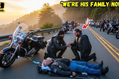 “Old Man Collapses: 70 Bikers Shut Down The Highway – The Reason Why Will Leave You Speechless!”
