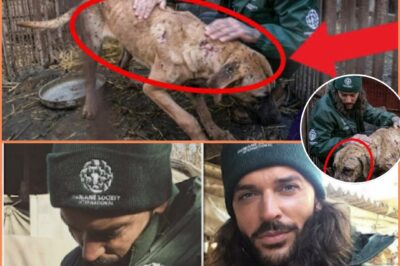 Pete Wicks Saves 170 Lives! But the rescue is only half the story.