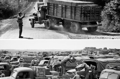 German Generals Laughed At U.S. Logistics, Until The Red Ball Express Fueled Patton’s Blitz