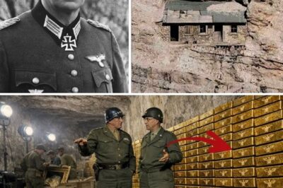German Colonel Vanished in 1945 — 78 Years Later, His Secret Alpine Cabin Was Found